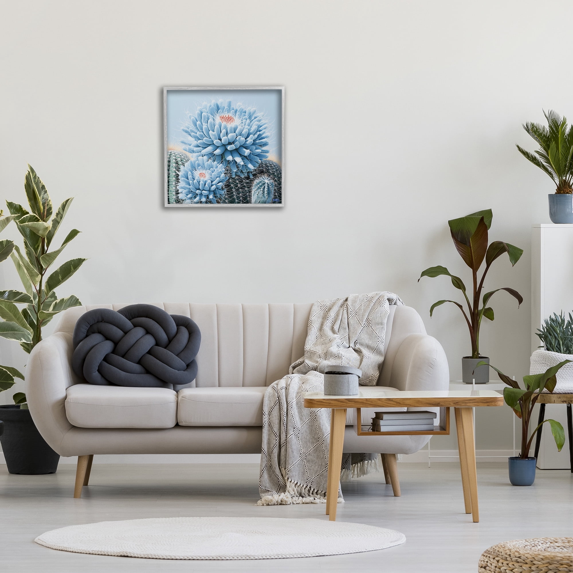 Stupell Industries Blue Cactus Botanicals Botanical & Floral Painting Gray Framed Art Print Wall Art, 24 x 24