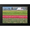 thumbnail image 2 of Styber, Dana 24x17 Black Modern Framed Museum Art Print Titled - Red Tulip Barn, 2 of 5