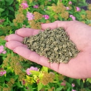 Dr. Earth Organic & Natural Pure Gold All Purpose Plant Food, 2-2-2 Fertilizer, 3 lb.