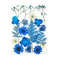 thumbnail image 1 of Langgg Pressed Flowers Face Decorations Wedding Supplies Resin Flower Manual Craft Craftsmanship Scrapbooking Prop DIY Accessory Type 7, 1 of 9