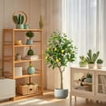 thumbnail image 3 of Ourlova Artificial Lemon Tree, 3.9ft/4.9ft Tall Lemon Plant In Pot, Lemon Fruit Tree, Pre Potted Faux Lemon Tree Artificial Potted Plants For Indoor Decor, 3 of 6