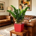 thumbnail image 5 of Self Watering Square Small Flower Pots Imitation Rattan Woven Texture 4.6 Inch Flower Pots for Indoor Plants Succulents and Desktop Home Decor, 5 of 7