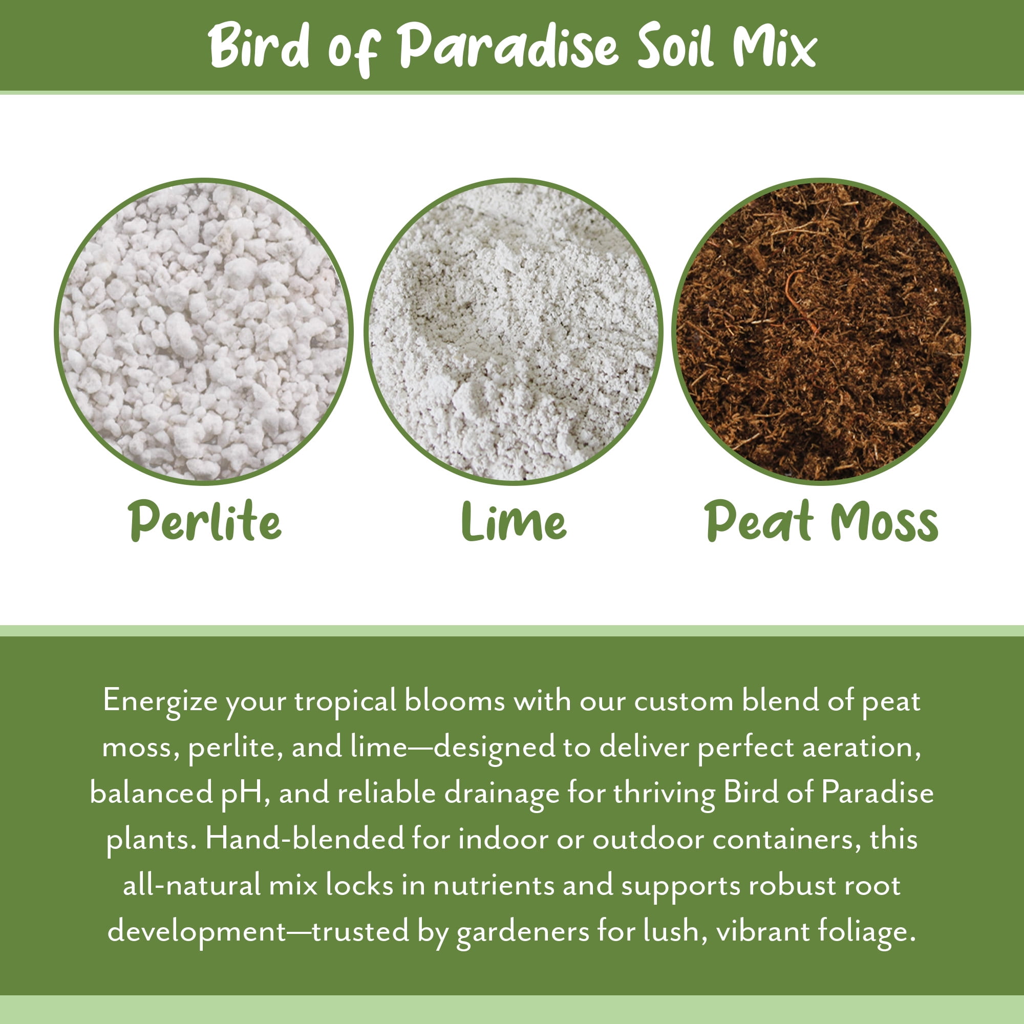 Bird of Paradise Potting Soil Mix (8 Quarts), All Natural Mix for Indoor / Outdoor Container Tropical Plants