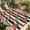 Crimson Black, variant on Striped Flamingo Outdoor Rug for Patio/Deck/Porch, Non-Slip Large Area Rug 5 x 7 Ft, Pink Birds Green Palm Leaf Black White Indoor Outdoor Rugs Washable Area Rugs, Camping Rug Carpet Runner