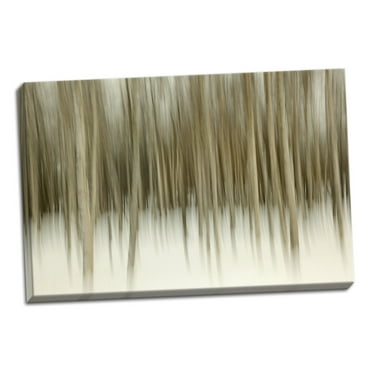 Gango Home Decor Birch Blur II by Larry Malvin (Ready to Hang); One 36x24in Hand-Stretched Canvas