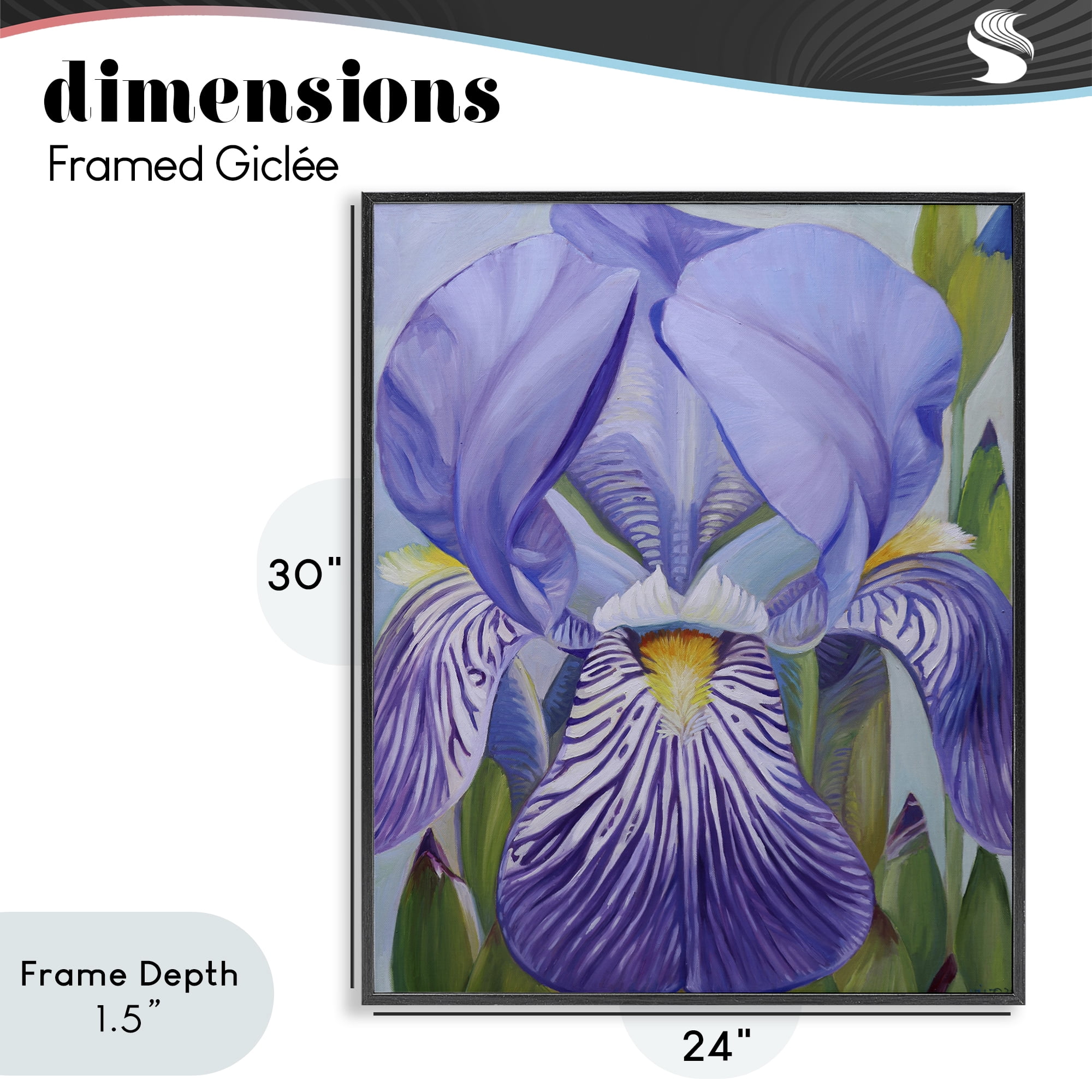 Stupell Industries Blooming Purple Iris Petals Black Framed Giclee Art, design by Violeta Vollmer