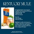 thumbnail image 4 of Rabbit Hole Heigold High Rye Double Malt Kentucky Straight Bourbon Whiskey 750 ml, 95 Proof, 4 of 9
