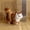 C, variant on Robot Cat Plush Toy Interactive Cat, Electronic Pets Cat Boy Toy with Touch Control Meow Purring Cat Toy for Girls Mechanical cat Birthday Gift Pet Toys for Kids