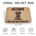 thumbnail image 2 of Schnauzer Door mat, Hope You Like Saint Schnauzers Welcome Doormat, Front Door Mat, Dog Mom Outdoor Rug Gift, Housewarming Gift, Funny Door Mat Outdoor Decor,Indoor Doormat,Coral Velvet Rug 16”x24”, 2 of 7
