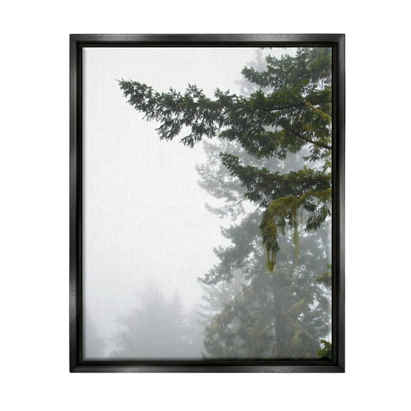 Stupell Industries Majestic Pine Tree Overhang Photograph Jet Black Floating Framed Canvas Print Wall Art, Design by Debra Van Swearingen
