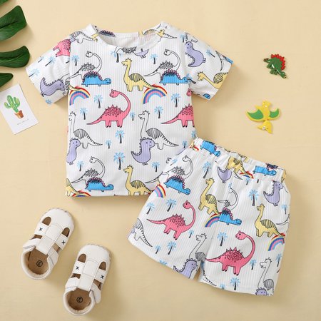 

NIUREDLTD Baby Suit Summer Cartoon Dinosaur Cute Factory Summer Boy Cartoon Short Sleeve T Shirt Shorts 2pcs Suit