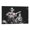 Frame-style, variant on Merle Haggard Canvas Poster Room Aesthetic Poster Print Art Wall Painting Canvas Posters Gifts Modern Bedroom Decor 16x24inch(40x60cm)