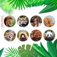 thumbnail image 3 of León Tigre Jirafa Elefante Panda Serpiente Babuino Leopardo Pegatinas para Niños Maestros, 500 Piezas Pegatinas de Diseño para Fiestas de Cumpleaños Infantiles, Recompensa Escolar, Regalos, 3 of 4