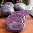 thumbnail image 2 of TomorrowSeeds - Adirondack Blue Seed Potatoes - USDA Certified For Growers Purple Flesh Magic Potato Garden Growing Planting Vegetable Seed 2025 - 2 Pounds, 2 of 7