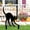 Black Cat B, variant on YIMWNYI Halloween Decoration Wall Hanging, Unique Outdoor Decor, Realistic Design for Garden, Creepy Yard Art for Halloween Party, Great for Indoor and Outdoor Displays