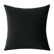 Forhever Set of 2 Velvet Throw Pillow Covers Decorative Square Pillowcase Soft Solid Cushion Case for Couch Sofa Bed Chair, 18 x 18 inch