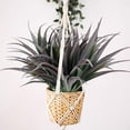 thumbnail image 5 of 8Pcs Artificial Grass Plant Fake Outdoor Plastic Plants UV Resistant Faux Grasses Greenery Shrubs for Window Box Garden Patio Porch Home Decor Red, 5 of 5