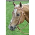 thumbnail image 5 of Tahoe Tack USA Leather Caballero Western Browband Headstall with Silver and Gold Star Conchos Full Horse Size - London Tan / Full Horse, 5 of 7