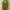 Army Green, variant on GaThRRgYP Off the Shoulder Tops for Women,Womens Summer Tunics Tops Short Sleeve,Womens Tops 3/4 Sleeve Plus Size 2025