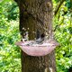 thumbnail image 4 of Comedero para Aves Exterior, Bandeja de Baño con Ducha, Bebedero para Aves de Plástico, Bebedero para Pájaros con Componentes Removibles para Jardín o Balcón., 4 of 7
