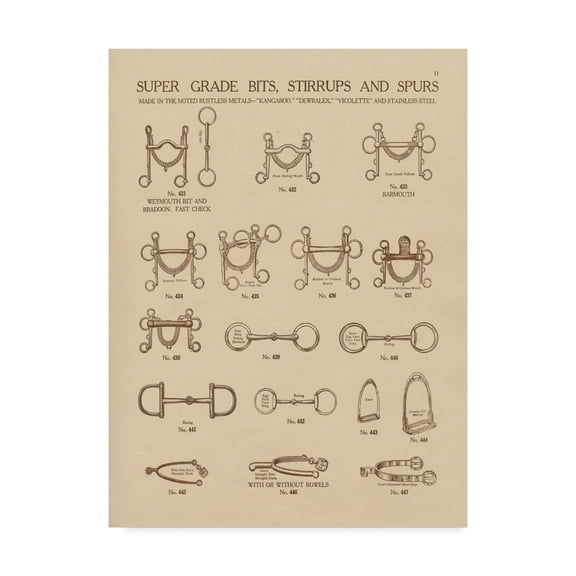 Trademark Fine Art 'Equine Riding Gear I v2' Canvas Art by Wild Apple Portfolio