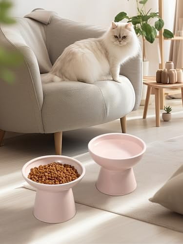 Elevated Cat Food and Water Bowls Set, Extra Wide and Raised Ceramic Feeder, Anti-Vomit Whisker-Free Pressure Feeding Bowl for Kittens Adult Cats Small Dogs(Pink, Food Bowl)