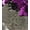 Silver/Purple, variant on CARNIVAL Color Changing Sensory Wall Reversible Sequin Fabric, 52 Inch. in Width, Sample 3x3 Inch / Green/Teal