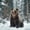 Brown White Gray, variant on Castle Fairy Snow Wildlife Bear Twin Sheets 3pcs,Frost Pine Forest Bedding,Brown White Gray,1 Fitted Sheet, 1 Flat Sheet and 1 Pillowcase