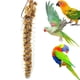 thumbnail image 5 of RV Comedero para pájaros, comedero, simula forraje natural, comedero para hamster, comedero para loros de acero inoxidable Rojo Verde, 5 of 5
