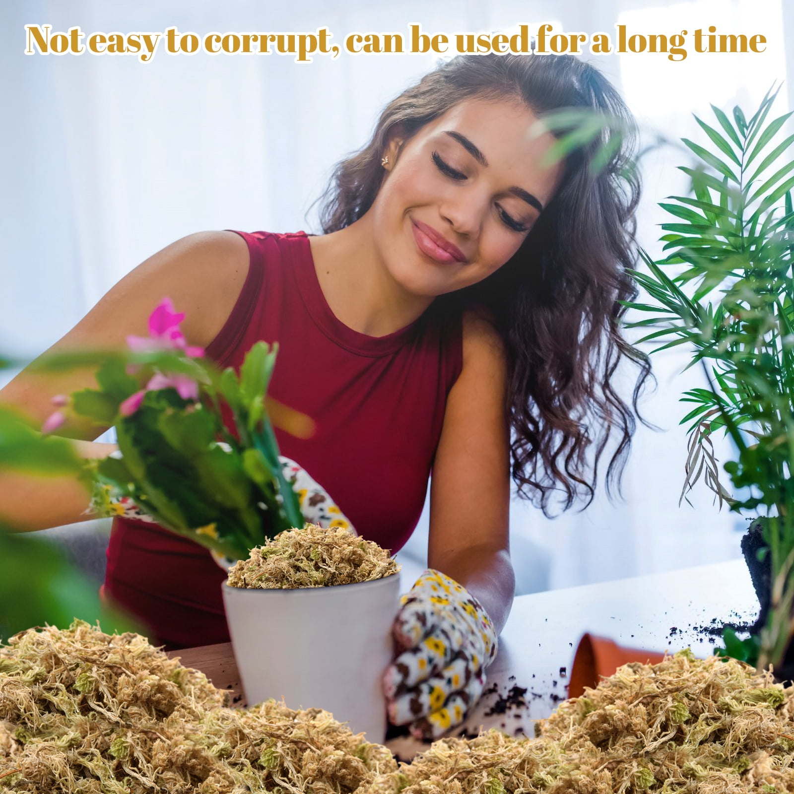 2.2LBS Premium Sphagnum Moss for Plants- 40QT Natural Succulent Carnivorous Plant Moss Dried, Long Fiber Orchid Moss for Orchid Repotting Succulent Sarracenia Potted Plants Gardening & Reptiles