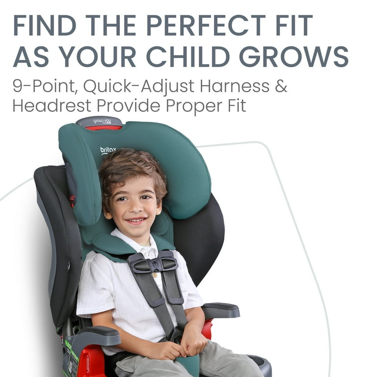 double bike stroller Allen Sports 2-Child Bicycle Trailer & Stroller, model AS2 main image 0