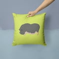 thumbnail image 2 of Carolines Treasures Vietnamese Pot-Bellied Pig Green Fabric Decorative Pillow 14Hx14W multicolor, 2 of 4
