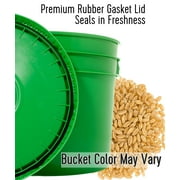 Certified Glyphosate Residue Free Hard White Wheat Berries | 25 LBS | Emergency Food Storage Bucket | Non-GMO | Grown on Our Family Farm | Bulk