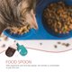 thumbnail image 4 of KAKOWELY 2 cucharas para comida de gatos con forma de helado, cucharas para comida de gatos, cucharas para comida de perros, suministros para mascotas, 4 of 4