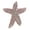 C, variant on Creative Starfishes Brooches Fashion Clothing Patches Detachable Dress Ornament for Personality Apparels