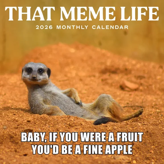 That Meme Life Calendar 2026 | 12" x 24" 16 Month Funny Calendar | Marble City Press