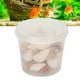 thumbnail image 3 of Decoración de Conchas Marinas, Conchas Marinas Para Decorar, Mini Conchas Marinas Lindas, Estrellas de Mar, Caracolas, Colgantes del Océano, Manualidad, Conchas Marinas,, 3 of 7