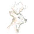 thumbnail image 2 of Vess, June Erica 15x18 Black Ornate Wood Framed with Double Matting Museum Art Print Titled - Deer Cameo IV, 2 of 4