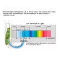 thumbnail image 4 of 12W UV Water Sterilizer Ultraviolet Tube Lamp Direct Drinking Disinfection Aquarium Fish Tank Purifi, 4 of 5