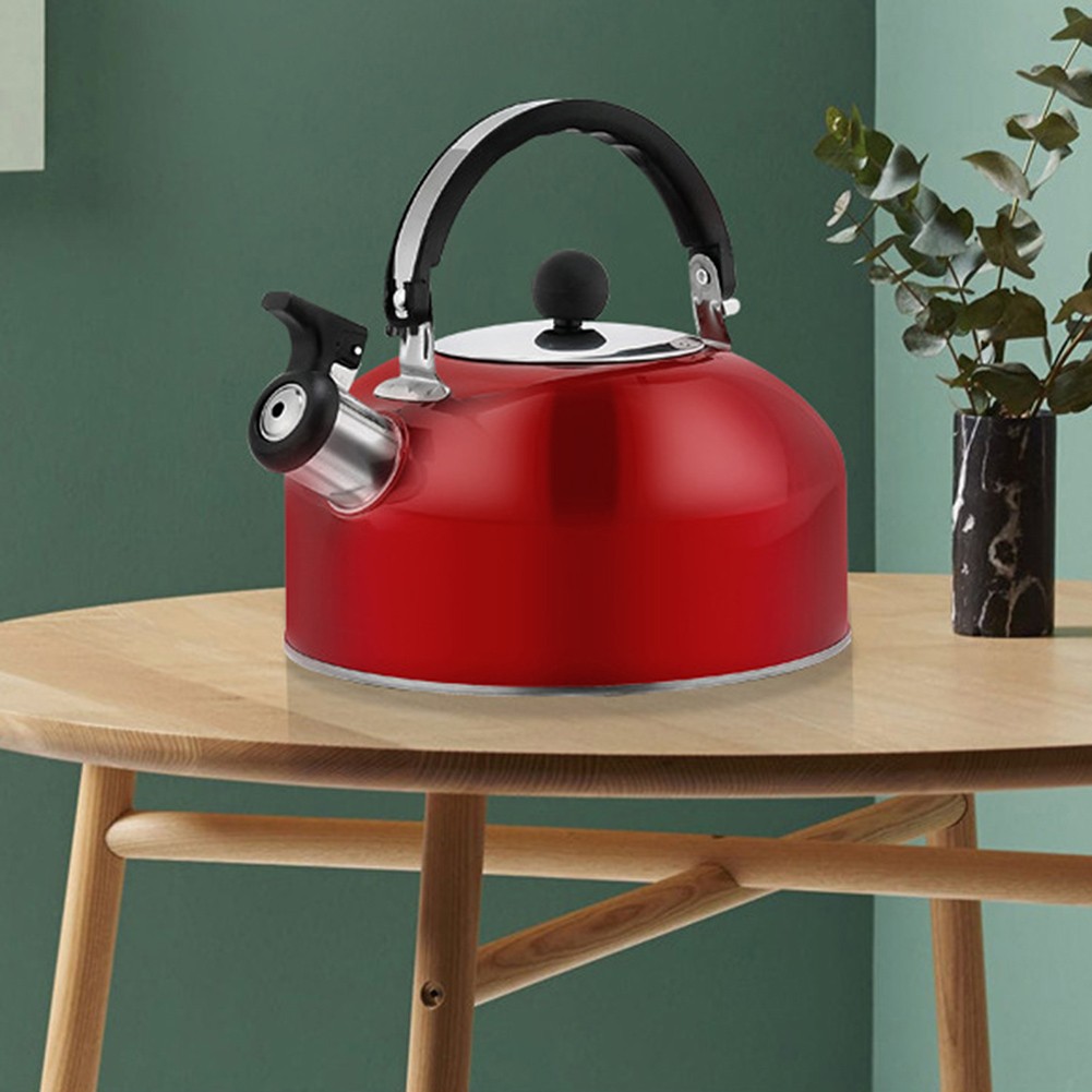 3L Camping Kettle Stainless Steel Induction Cooker Gas Stove Outdoor