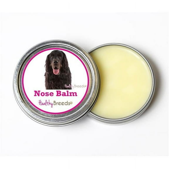 Healthy Breeds 840235191605 2 oz Gordon Setter Dog Nose Balm