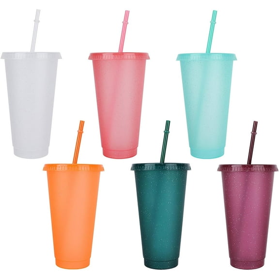 6pcs Reusable Plastic Cups with Lids and Straws 24oz Colorful Straw Tumblers Bulk