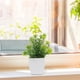 thumbnail image 5 of Pequeñas plantas artificiales en macetas para decoración de interiores. Bonsái artificial para escritorio o estantería. Decoración para baño o sala de estar. Plantas artificiales en macetas., 5 of 6