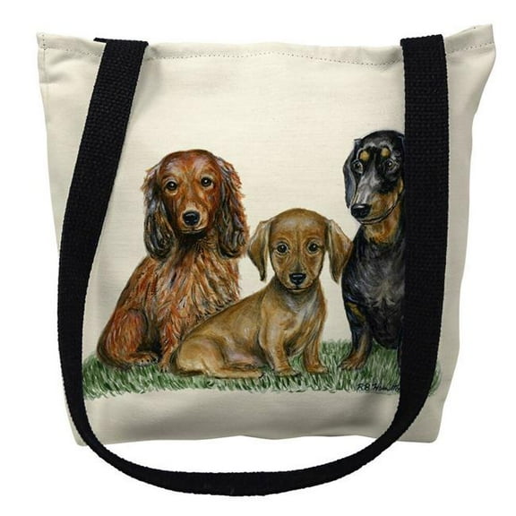 Betsy Drake TY074M 16 x 16 in. Dachshunds Tote Bag - Medium