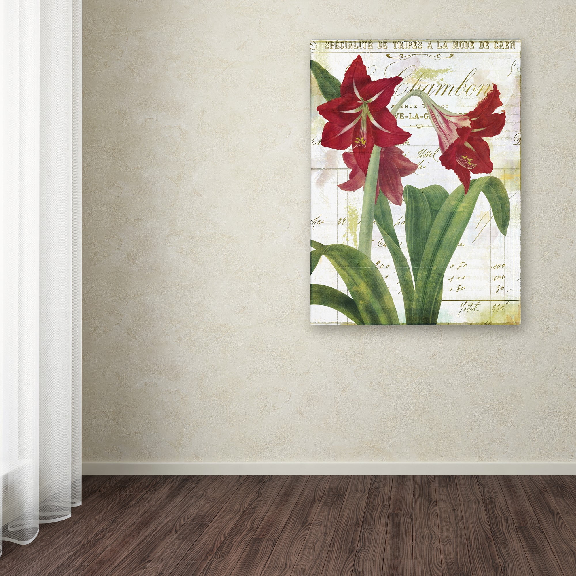 Trademark Fine Art "Peppermint Amaryllis" Canvas Art by Color Bakery