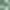 Seafoam, variant on Vickerman 6" Bittersweet 4-Finish Ball Ornament Assortment, 4 per Box