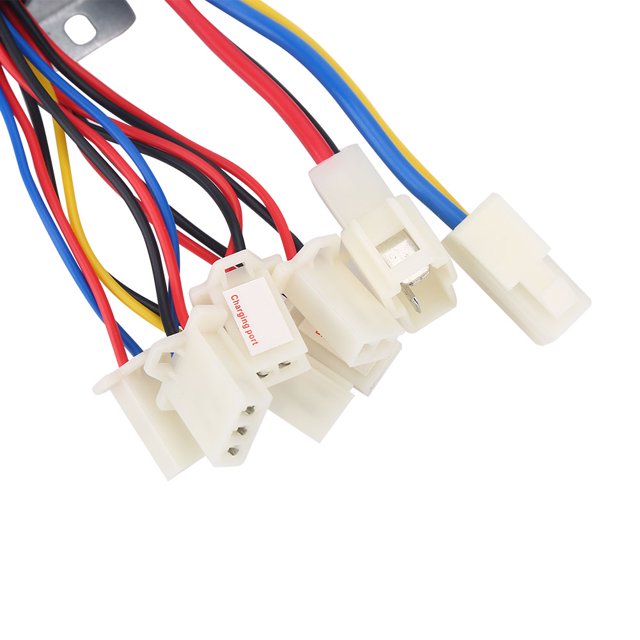 Controlador de motor eléctrico Ecomeon 24V 500W