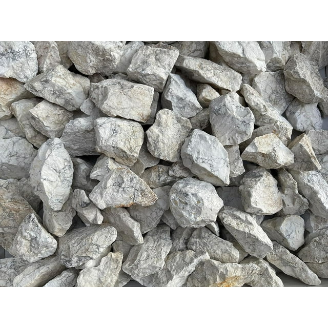 GAF TREASURES Wholesale Raw White Howlite Crystals, Natural White Howlite Stone, Natural Rough White Howlite Crystals, White Howlite Rough, White Howlite Healing Crystals (White Howlite, 0.25 Pound)