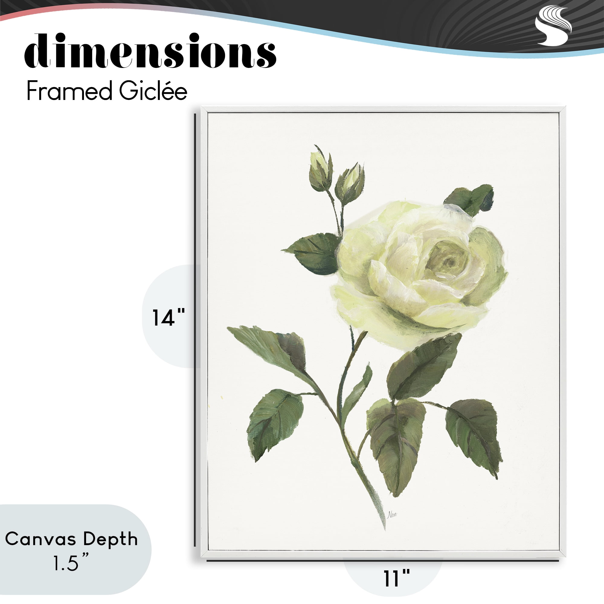 Stupell Industries Cream Garden Rose with Buds White Framed Giclee Art, design by Nan