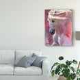 thumbnail image 3 of Trademark Fine Art 'Dream Dancer' Canvas Art by Carolyne Hawley, 3 of 4